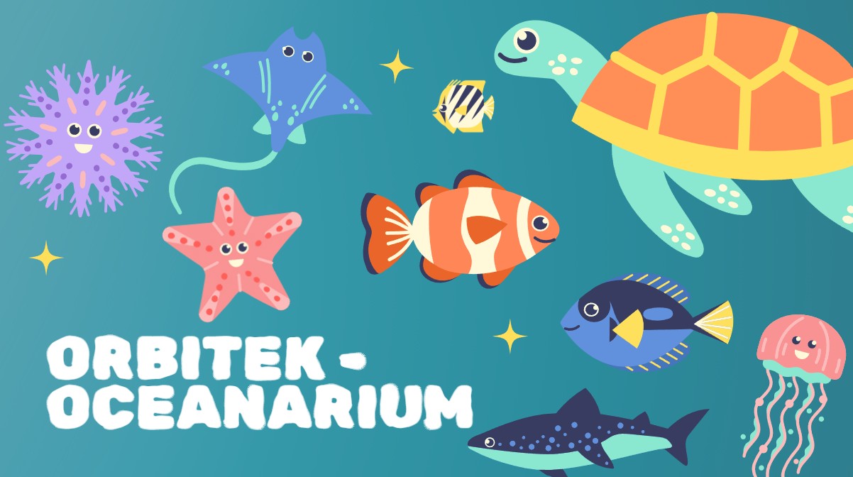 obraz 2024 10 30 155049804