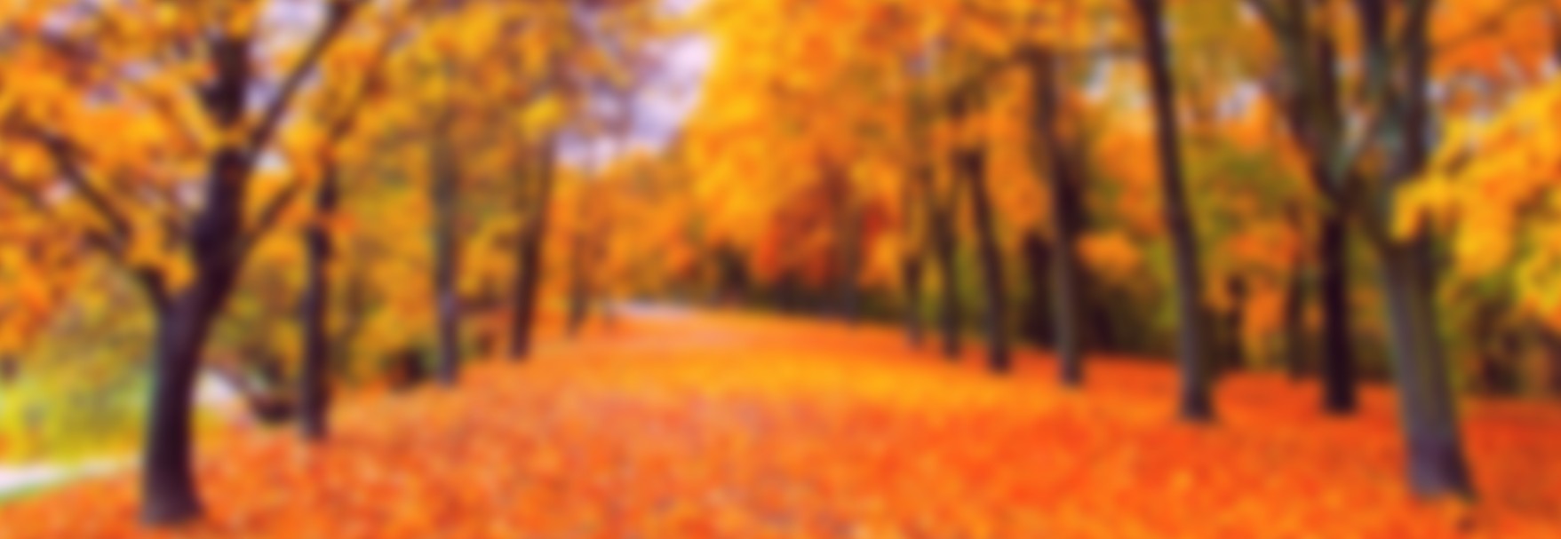 Zrzut ekranu 2025 09 28 125428